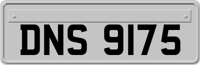 DNS9175