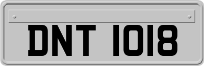 DNT1018