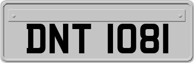 DNT1081