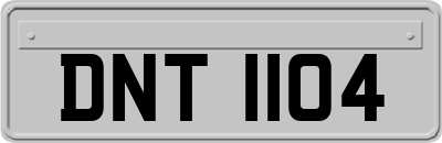 DNT1104