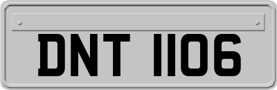 DNT1106