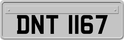DNT1167