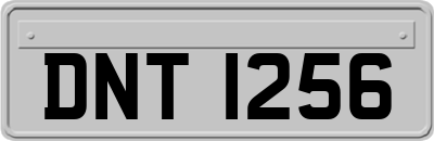 DNT1256