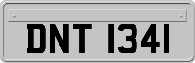 DNT1341