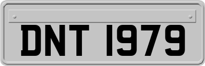DNT1979