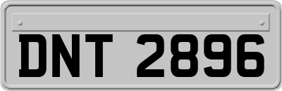 DNT2896