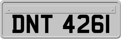 DNT4261
