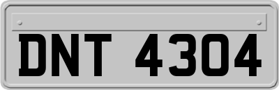 DNT4304