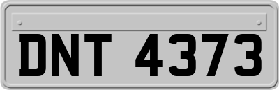 DNT4373