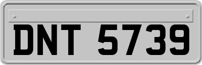 DNT5739