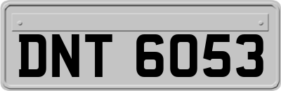 DNT6053