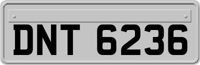DNT6236