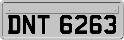 DNT6263