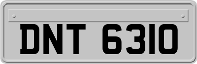 DNT6310