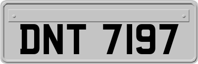 DNT7197