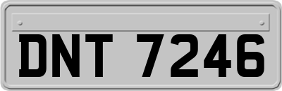 DNT7246