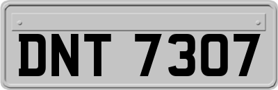 DNT7307