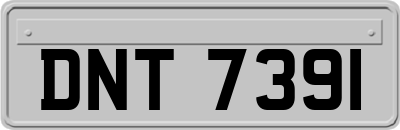 DNT7391