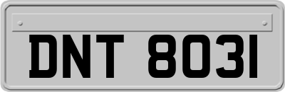 DNT8031