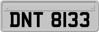 DNT8133