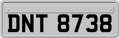 DNT8738
