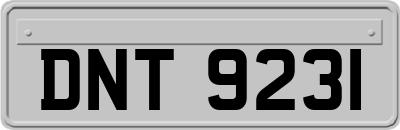DNT9231