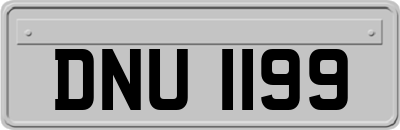 DNU1199