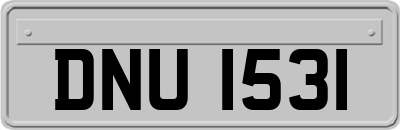 DNU1531