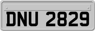 DNU2829