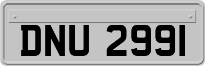 DNU2991