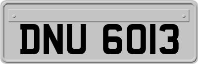 DNU6013