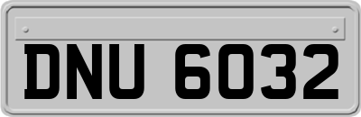 DNU6032