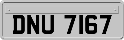 DNU7167