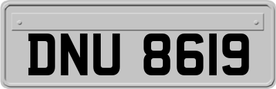 DNU8619