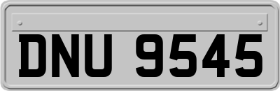 DNU9545
