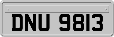 DNU9813