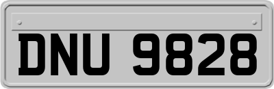 DNU9828