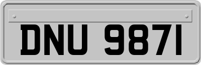 DNU9871