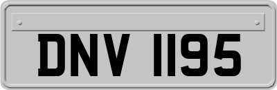 DNV1195