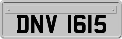 DNV1615