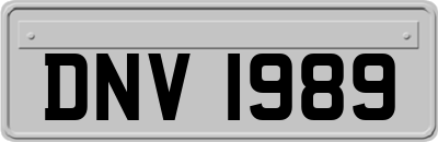 DNV1989