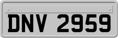 DNV2959