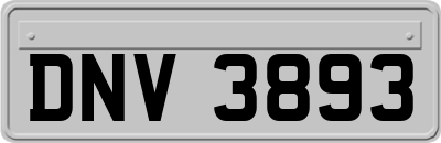 DNV3893