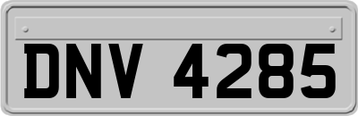 DNV4285