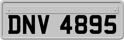 DNV4895