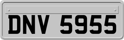DNV5955