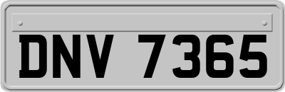 DNV7365