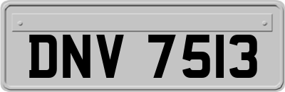 DNV7513