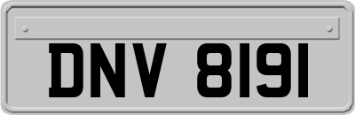 DNV8191