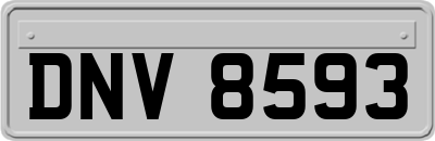 DNV8593